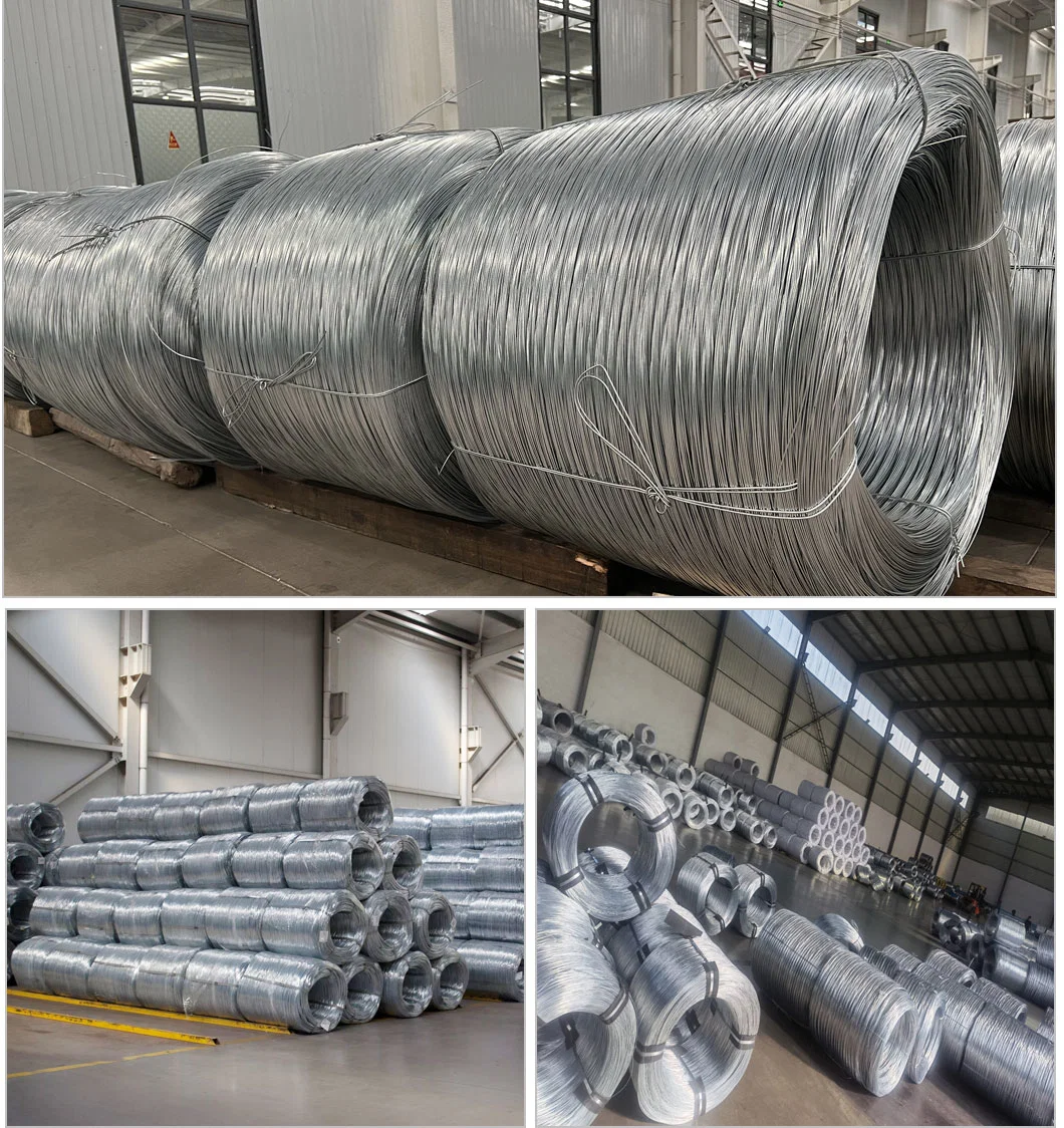 Factory Hot/Cold Rolled Low/High Carbon/Ms Steel Wire Rod SAE 1008 /1006 5.5 6.5 3.0 3.2mm Q195 Q235hot Dipped Gi Wire Nail Stainless Steel Wire Welding Rod